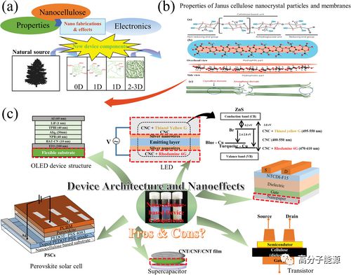 AFM納米纖維素 柔性電子與能源器件的多功能平臺