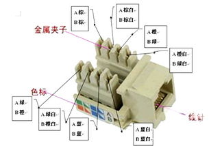 網線插口與水晶頭接法詳解 標準一致，但應用有別